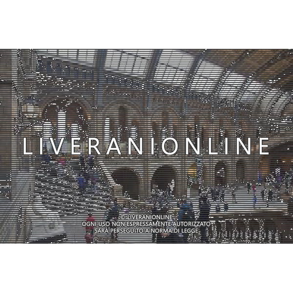 The Natural History Museum, London, England AG ALDO LIVERANI SAS ONLY ITALY