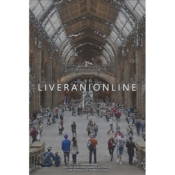 The Natural History Museum, London, England AG ALDO LIVERANI SAS ONLY ITALY