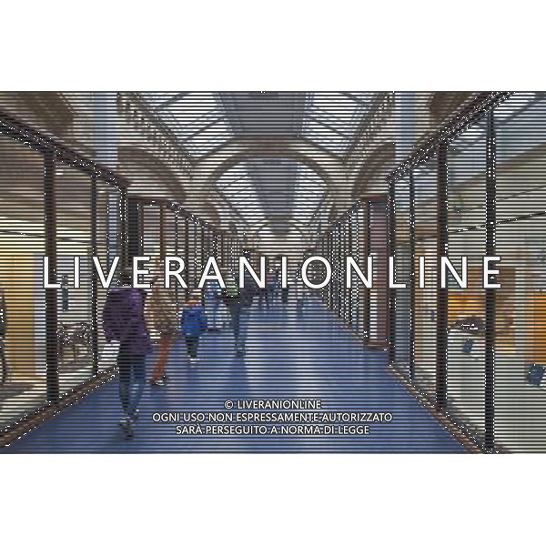 The Natural History Museum, London, England AG ALDO LIVERANI SAS ONLY ITALY