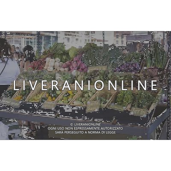 Customers shop at the New Amsterdam Market on South Street in New York on Sunday, June 23, 2013. The market is located in the former Fulton Fish Market with vendors who source their food directly from farmers and producers as well as the farms and makers of artisanal food. This year because of development of the South Street area the market will only open on one day with the organizers searching for a future permanent home. (Œ Richard B. Levine) ©photoshot/AGENZIA ALDO LIVERANI SAS - ITALY ONLY - Veduta della vita quotidiana e commerciale dei quartieri della citta\' di New York