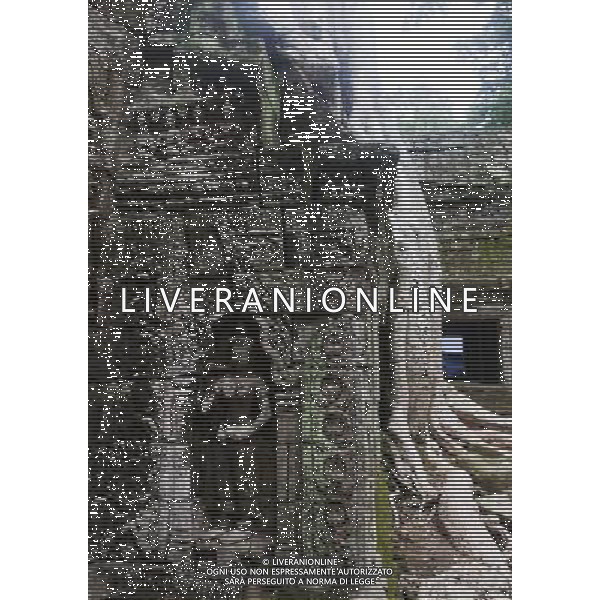 (130627) -- TA PROHM TEMPLE, June 27, 2013 () -- A giant tree grows on buildings in Ta Prohm temple of Siem Reap province, Cambodia, on June 26, 2013. Ta Prohm, part of the complex of Angkor Archaeological Park, is known locally as the \'jungle temple\' for the ancient fig, banyan and kapok trees which grow from its terraces. (/Li Ying) AG ALDO LIVERANI SAS ONLY ITALY