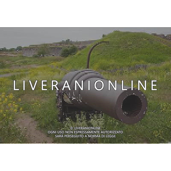 (130628) -- HELSINKI, June 28, 2013() -- Photo taken on June 24, 2013 shows a cannon on the coastal defense at the island fortress of Suomenlinna in Helsinki, capital of Finland. Fortress of Suomenlinna is a unique historical monument and one of the largest maritime fortresses in the world. Its construction began in 1700s when Finland was part of the Kingdom of Sweden. As an example of European military architecture of its time, Suomenlinna was included in UNESCO\'s World Heritage List in 1991. (/Yan Ting) AG ALDO LIVERANI SAS ONLY ITALY