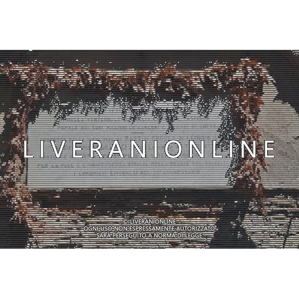 Livorno Teatro San Marco sede della nascita del partito comunista italiano FOTO SIMONE LANARI-AG ALDO LIVERANI SAS