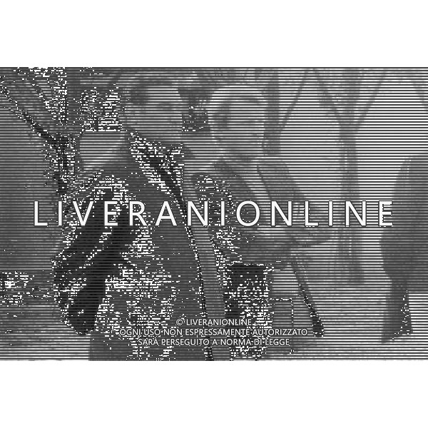 ARCHIVIO GIOVANNI LIVERANI NELLA FOTO GOVANNI TRAPATTONI CON NEREO ROCCO AG ALDO LIVERANI SAS