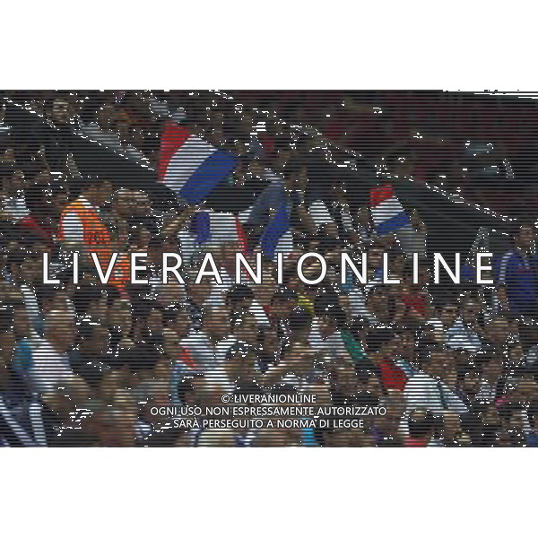 FIFA U20 World Cup Final match between France and Uruguay at Turk Telekom Arena Stadium in Istanbul, Turkey 13.07.2013 Pictured: Fans of France. MISTRZOSTWA SWIATA U20 U 20 PILKA NOZNA TURCJA FINAL FRANCJA vs URUGWAJ FOT. SESKIM/NEWSPIX.PL TURKEY, GERMANY, AUSTRIA AND UK OUT !!! --- Newspix.pl AG ALDO LIVERANI SAS ONLY ITALY *** Local Caption *** www.newspix.pl mail us: info@newspix.pl call us: 0048 022 23 22 222 --- Polish Picture Agency by Ringier Axel Springer Poland