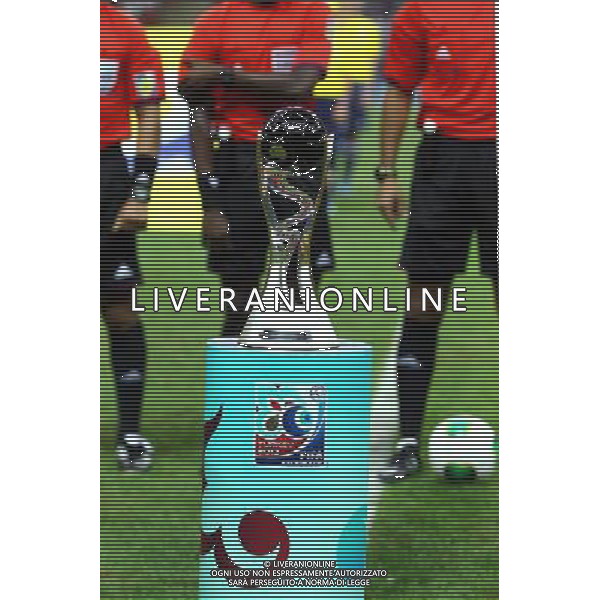 FIFA U20 World Cup Final match between France and Uruguay at Turk Telekom Arena Stadium in Istanbul, Turkey 13.07.2013 Pictured: Trophy MISTRZOSTWA SWIATA U20 U 20 PILKA NOZNA TURCJA FINAL FRANCJA vs URUGWAJ FOT. SESKIM/NEWSPIX.PL TURKEY, GERMANY, AUSTRIA AND UK OUT !!! --- Newspix.pl AG ALDO LIVERANI SAS ONLY ITALY *** Local Caption *** www.newspix.pl mail us: info@newspix.pl call us: 0048 022 23 22 222 --- Polish Picture Agency by Ringier Axel Springer Poland