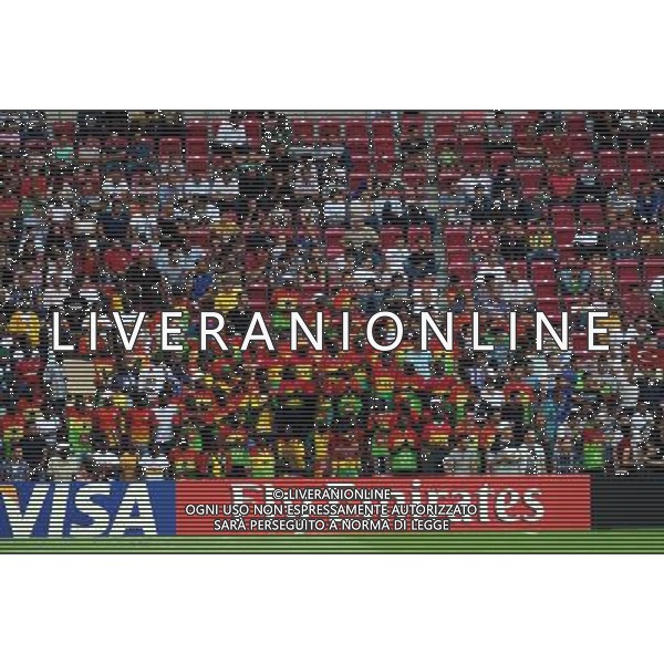 FIFA U20 World Cup match between Ghana and Iraq at Turk Telekom Arena Stadium in Istanbul, Turkey 13.07.2013 Match Scored: Ghana 3 - Iraq 0 Pictured: Fans. MISTRZOSTWA SWIATA U20 U 20 PILKA NOZNA TURCJA GHANA vs IRAK FOT. SESKIM/NEWSPIX.PL TURKEY, GERMANY, AUSTRIA AND UK OUT !!! --- Newspix.pl ag aldo liverani sas only italy *** Local Caption *** www.newspix.pl mail us: info@newspix.pl call us: 0048 022 23 22 222 --- Polish Picture Agency by Ringier Axel Springer Poland