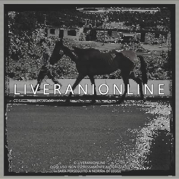 (130714) -- PUEBLA, July 14, 2013 () -- Image taken on July 13, 2013 using an Iphone 4S\' \'Hipstamatic\' app shows a boy guiding his horse in the San Nicolas de los Ranchos municipality, in the state of Puebla, in the center of Mexico. (/Guillermo Arias) (da) (ce) ©photoshot/AGENZIA ALDO LIVERANI SAS - ITALY ONLY - Vedute della vita quotidiana riprese nella citta\' di San Pedro Yancuitlalpan ricampionate con un Iphone 4S \'app \'Hipstamatic\', stato di Puebla, nel centro del Messico 4 luglio 2013