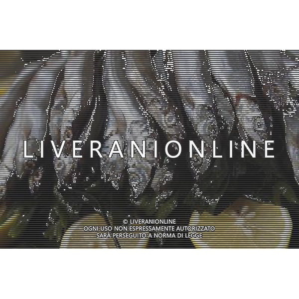 Capelin fish in ZSL London Zoo on July 17, 2013 in London, England. ©photoshot/AGENZIA ALDO LIVERANI SAS - ITALY ONLY - Giraffe e pinguini mentre vengono accuditi e nutriti dall\'executive chef dei ristoratori dello Zoo di Londra il 17 luglio 2013 in Inghilterra. Una nuova terrazza ristorante verra\' inaugurata e aperta pubblico il 19 luglio 2013.
