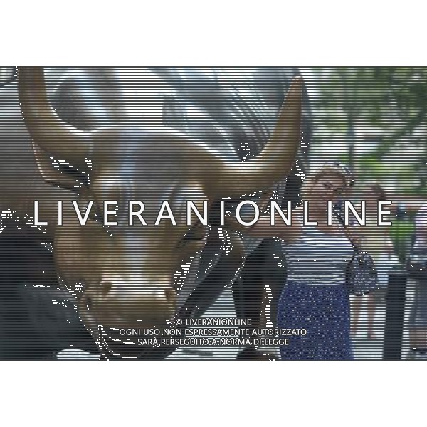 (130719) -- NEW YORK, July 19, 2013 () -- A woman poses for photos with the bronze bull in the Financial district which has become a Wall Street icon in New York City, July 18, 2013. U.S. stocks continued to rise on Thursday, sending the Dow Jones Industrial Average and the S\'P 500 to fresh all-time highs, boosted by upbeat economic data and corporate earnings. (/Wang Lei) ©photoshot/AGENZIA ALDO LIVERANI SAS - ITALY ONLY - Il distretto finanziario di Wall Street la Borsa di New York City, Stati Uniti 18 luglio 2013.