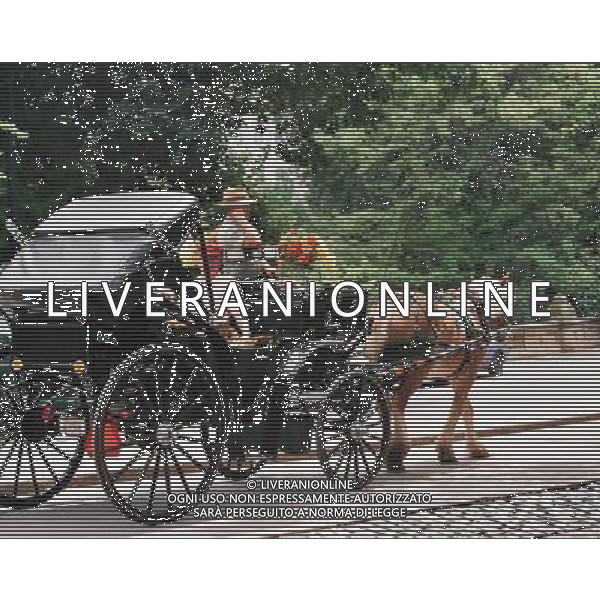 Horse Drawn Carriage, Central Park, New York, circa 1998 ©photoshot/AGENZIA ALDO LIVERANI SAS - ITALY ONLY - Vedute della citta\' di New York negli Stati Uniti nel 1998