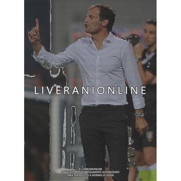 Trofeo TIM 2013 Reggio Emilia - 23.07.2013 Juventus-Milan-Sassuolo Nella Foto:allegri massimiliano /Ph.Vitez-Ag. Aldo Liverani