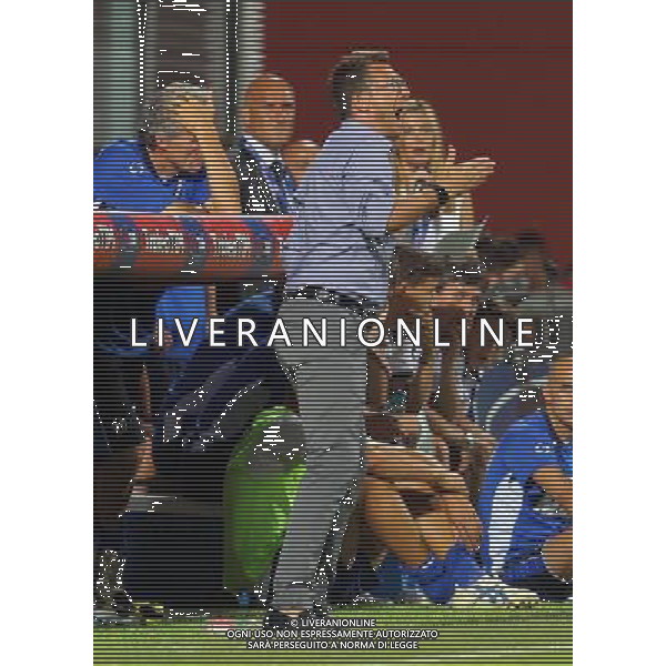 REGGIO EMILIA 23 LUGLIO 2013 /TROFEO TIM 2013 / TRIANGOLARE JUVENTUS-MILAN-SASSUOLO / NELLA FOTO: EUSEBIO DI FRANCESCO / FOTO FRANCESCA SOLI - AGENZIA ALDO LIVERANI SAS