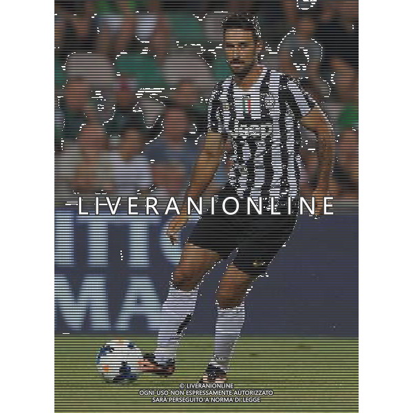 Trofeo TIM 2013 Reggio Emilia - 23.07.2013 Juventus-Milan-Sassuolo Nella Foto:Vucinic Mirko /Ph.Vitez-Ag. Aldo Liverani