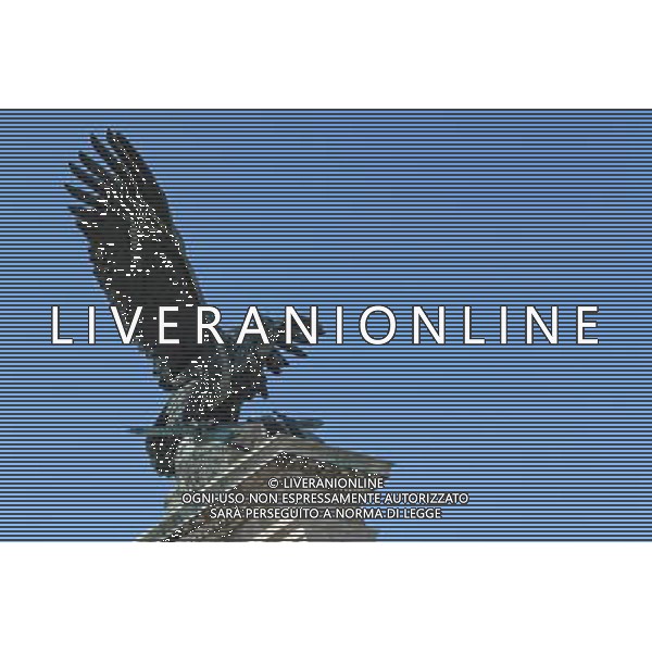 Scenic Budapest. 25.07.2013. Formula 1 World Championship, Rd 10, Hungarian Grand Prix, Budapest, Hungary, Preparation Day - www.xpbimages.com, EMail: requests@xpbimages.com - copy of publication required for printed pictures. Every used picture is fee-liable. © Copyright: Batchelor / XPB Images AG ALDO LIVERANI SAS ONLY ITALY NELLA FOTO BUDAPEST CITTA