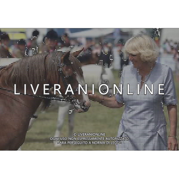 BUILTH WELLS, WALES - JULY 24: Camilla, Duchess of Cornwall views horses as she visits the Royal Welsh Show at Royal Wales Showground on July 24, 2013 in Builth Wells, Wales. ©photohsot/AGENZIA ALDO LIVERANI SAS - ITALY ONLY - REALI INGLESI: Il Principe Carlo d\'Inghilterra e la moglie Camilla Duchessa di Cornovaglia al Royal Welsh Show Showground 24 luglio 2013 in Builth Wells, Galles. 