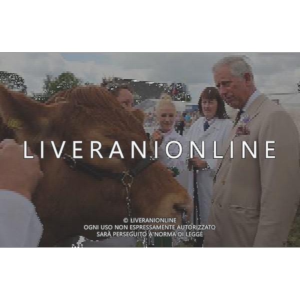 BUILTH WELLS, WALES - JULY 24: Prince Charles, Prince of Wales views livestock in the show ring as visits the Royal Welsh Show at Royal Wales Showground on July 24, 2013 in Builth Wells, Wales. ©photohsot/AGENZIA ALDO LIVERANI SAS - ITALY ONLY - REALI INGLESI: Il Principe Carlo d\'Inghilterra e la moglie Camilla Duchessa di Cornovaglia al Royal Welsh Show Showground 24 luglio 2013 in Builth Wells, Galles. 