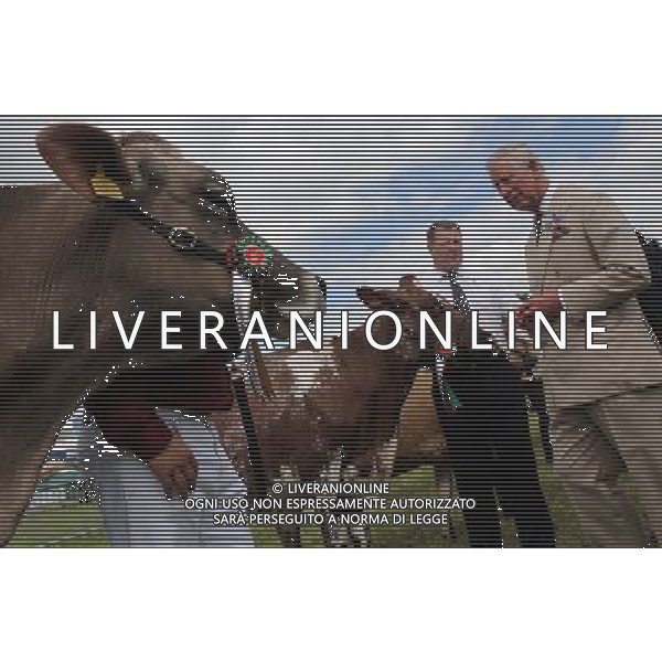 BUILTH WELLS, WALES - JULY 24: Prince Charles, Prince of Wales views livestock in the show ring as visits the Royal Welsh Show at Royal Wales Showground on July 24, 2013 in Builth Wells, Wales. ©photohsot/AGENZIA ALDO LIVERANI SAS - ITALY ONLY - REALI INGLESI: Il Principe Carlo d\'Inghilterra e la moglie Camilla Duchessa di Cornovaglia al Royal Welsh Show Showground 24 luglio 2013 in Builth Wells, Galles. 