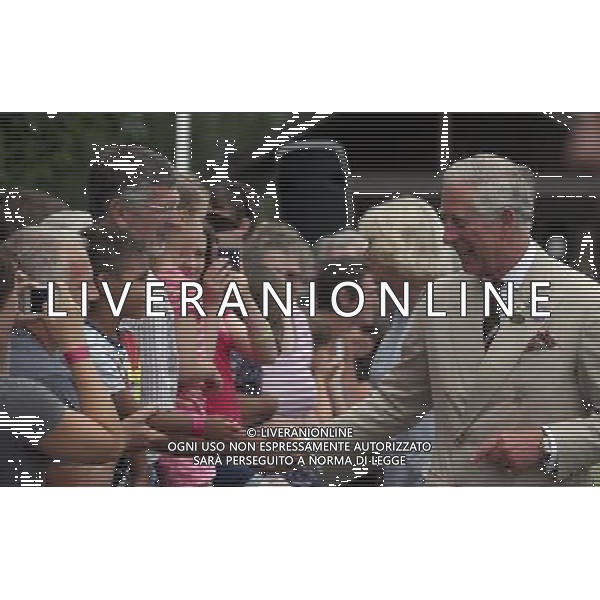 BUILTH WELLS, WALES - JULY 24: Prince Charles, Prince of Wales gestures as he arrives at the Royal Welsh Show at Royal Wales Showground on July 24, 2013 in Builth Wells, Wales. ©photohsot/AGENZIA ALDO LIVERANI SAS - ITALY ONLY - REALI INGLESI: Il Principe Carlo d\'Inghilterra e la moglie Camilla Duchessa di Cornovaglia al Royal Welsh Show Showground 24 luglio 2013 in Builth Wells, Galles. 