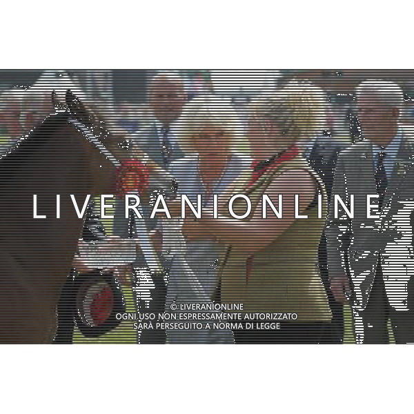 The Duchess of Cornwall with a prize winning horse at the Royal Welsh Show in Llanelwedd, Builth Wells, Wales. ©photoshot/AGENZIA ALDO LIVERANI SAS - ITALY ONLY - REALI INGLESI: Il Principe Carlo d\'Inghilterra e la moglie Camilla Duchessa di Cornovaglia al Royal Welsh Show Showground 24 luglio 2013 in Builth Wells, Galles.