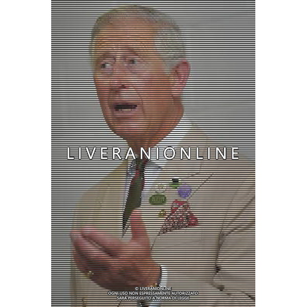 The Prince of Wales during a speech to the Prince\'s Countryside Fund, where he announced new grants, at the Royal Welsh Show in at Llanelwedd, Builth Wells. ©photoshot/AGENZIA ALDO LIVERANI SAS - ITALY ONLY - REALI INGLESI: Il Principe Carlo d\'Inghilterra e la moglie Camilla Duchessa di Cornovaglia al Royal Welsh Show Showground 24 luglio 2013 in Builth Wells, Galles.