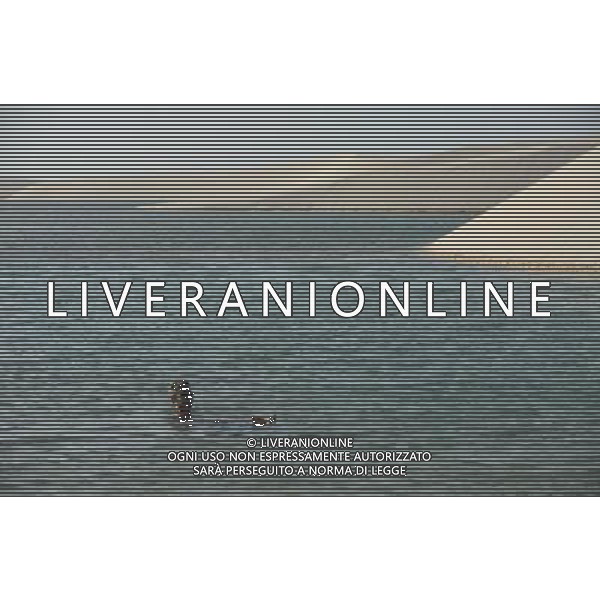 (130730) -- BARREIRINHAS, July 30, 2013 () -- People visit Lencois Maranhenses National Park located in northeast Brazil\'s Maranhao state, July 28, 2013. At the end of rain season every year, crystal clear lagoons form in the desert here.(/Weng Xinyang)(bxq) ©photoshot/AGENZIA ALDO LIVERANI SAS - ITALY ONLY - Alla fine della stagione delle piogge, lagune cristalline si formano nel deserto del Lencois Maranhenses National Park situato nel nord-est del Brasile nello Stato Maranhao 28 luglio 2013.
