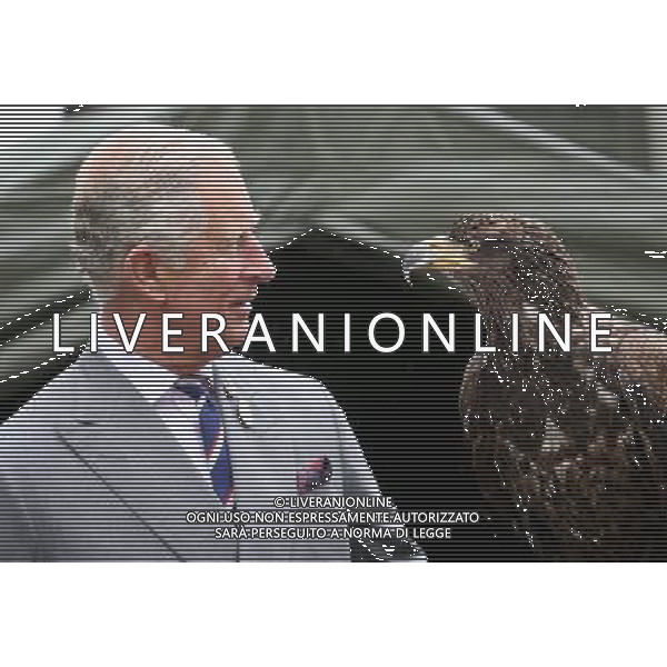 KING\'S LYNN, ENGLAND - JULY 31: Prince Charles, Prince of Wales holds a bald eagle called Zephyr during a visit to the 132nd Sandringham Flower Show at Sandringham House on July 31, 2013 in King\'s Lynn, England. ©photoshot/AGENZIA ALDO LIVERANI SAS - ITALY ONLY - REALI INGLESI: Il principe Carlo d\'inghilterra con la moglie Camilla duchessa di Cornovaglia