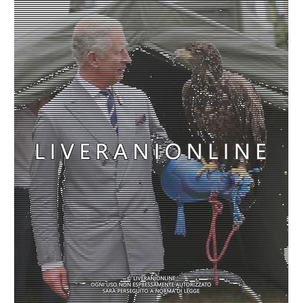 KING\'S LYNN, ENGLAND - JULY 31: Prince Charles, Prince of Wales holds a bald eagle called Zephyr during a visit to the 132nd Sandringham Flower Show at Sandringham House on July 31, 2013 in King\'s Lynn, England. ©photoshot/AGENZIA ALDO LIVERANI SAS - ITALY ONLY - REALI INGLESI: Il principe Carlo d\'inghilterra con la moglie Camilla duchessa di Cornovaglia