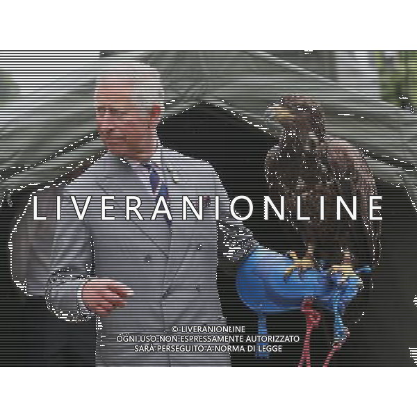 KING\'S LYNN, ENGLAND - JULY 31: Prince Charles, Prince of Wales holds a bald eagle called Zephyr during a visit to the 132nd Sandringham Flower Show at Sandringham House on July 31, 2013 in King\'s Lynn, England. ©photoshot/AGENZIA ALDO LIVERANI SAS - ITALY ONLY - REALI INGLESI: Il principe Carlo d\'inghilterra con la moglie Camilla duchessa di Cornovaglia