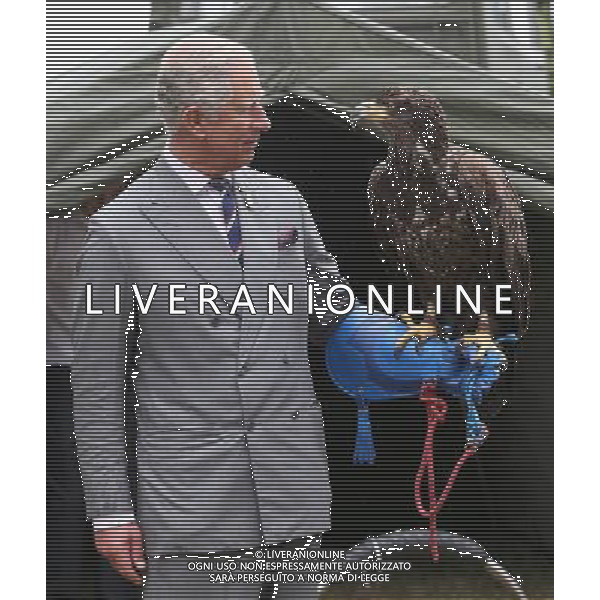 KING\'S LYNN, ENGLAND - JULY 31: Prince Charles, Prince of Wales holds a bald eagle called Zephyr during a visit to the 132nd Sandringham Flower Show at Sandringham House on July 31, 2013 in King\'s Lynn, England. ©photoshot/AGENZIA ALDO LIVERANI SAS - ITALY ONLY - REALI INGLESI: Il principe Carlo d\'inghilterra con la moglie Camilla duchessa di Cornovaglia