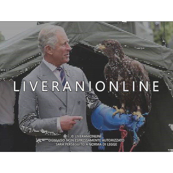 KING\'S LYNN, ENGLAND - JULY 31: Prince Charles, Prince of Wales holds a bald eagle called Zephyr during a visit to the 132nd Sandringham Flower Show at Sandringham House on July 31, 2013 in King\'s Lynn, England. ©photoshot/AGENZIA ALDO LIVERANI SAS - ITALY ONLY - REALI INGLESI: Il principe Carlo d\'inghilterra con la moglie Camilla duchessa di Cornovaglia