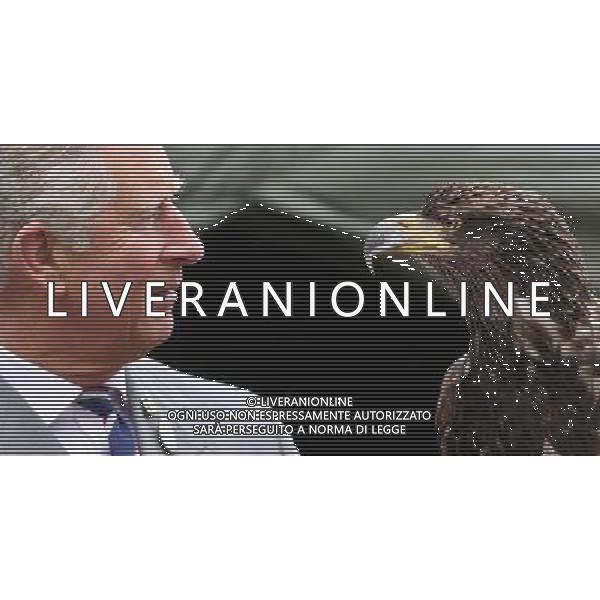 KING\'S LYNN, ENGLAND - JULY 31: Prince Charles, Prince of Wales holds a bald eagle called Zephyr during a visit to the 132nd Sandringham Flower Show at Sandringham House on July 31, 2013 in King\'s Lynn, England. ©photoshot/AGENZIA ALDO LIVERANI SAS - ITALY ONLY - REALI INGLESI: Il principe Carlo d\'inghilterra con la moglie Camilla duchessa di Cornovaglia