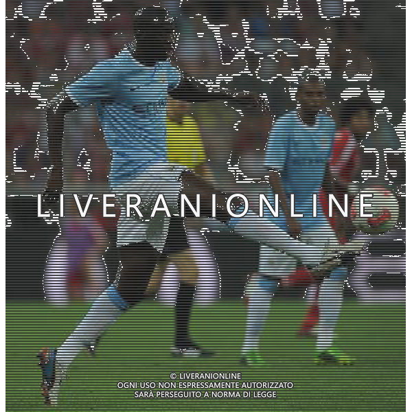 Audi Cup 2013 Monaco di Baviera (Germania) - 01.08.2013 Bayern Monaco-Manchester City Nella Foto:Toure\' Yaya /Ph.Vitez-Ag. Aldo Liverani