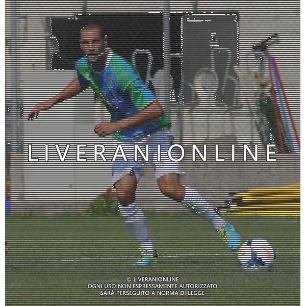 Milani Daniele , Feralpisalo singoli giocatori 2013.Ph Fotolive Filippo Venezia AG ALDO LIVERANI SAS