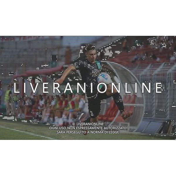 Dell Orco , Feralpisalo singoli giocatori 2013.Ph Fotolive Filippo Venezia AG ALDO LIVERANI SAS