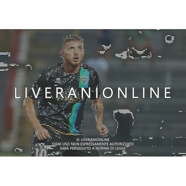 Cittadino, Feralpisalo singoli giocatori 2013.Ph Fotolive Filippo Venezia AG ALDO LIVERANI SAS