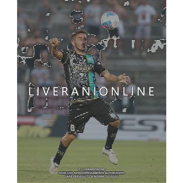 Pinardi Alex , Feralpisalo singoli giocatori 2013.Ph Fotolive Filippo Venezia AG ALDO LIVERANI SAS