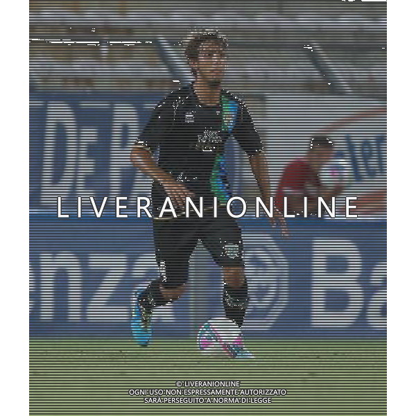 Fabris , Feralpisalo singoli giocatori 2013.Ph Fotolive Filippo Venezia AG ALDO LIVERANI SAS