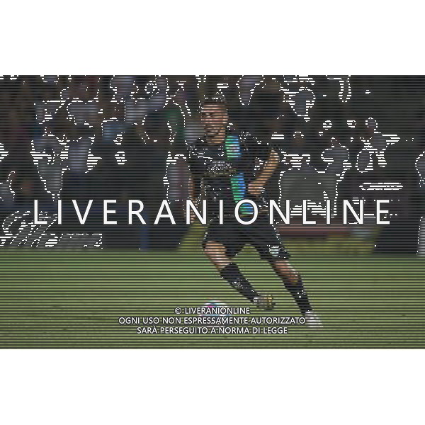 Pinardi Alex , Feralpisalo singoli giocatori 2013.Ph Fotolive Filippo Venezia AG ALDO LIVERANI SAS