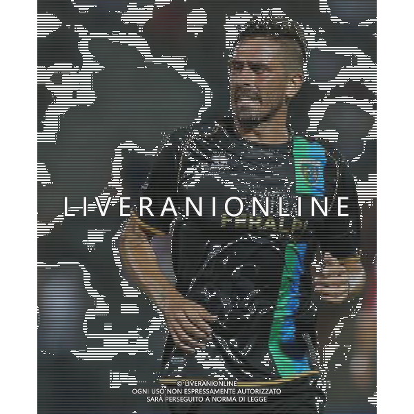 Pinardi Alex , Feralpisalo singoli giocatori 2013.Ph Fotolive Filippo Venezia AG ALDO LIVERANI SAS