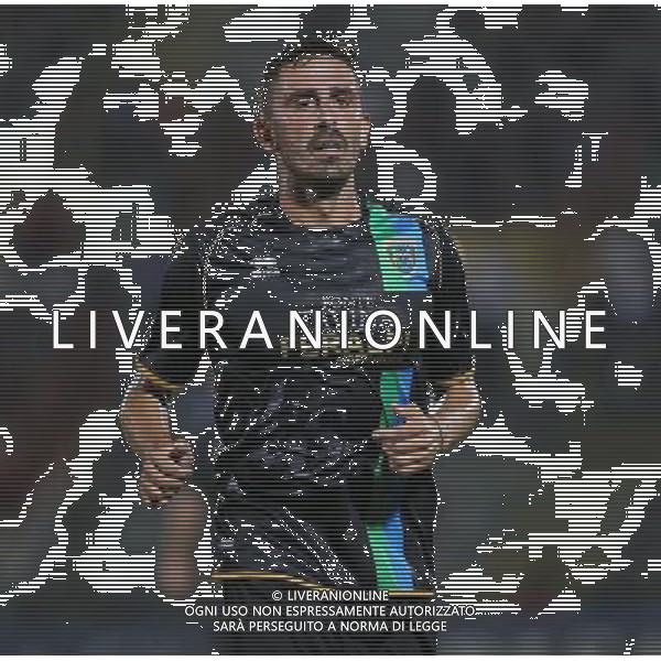 Pinardi Alex , Feralpisalo singoli giocatori 2013.Ph Fotolive Filippo Venezia AG ALDO LIVERANI SAS