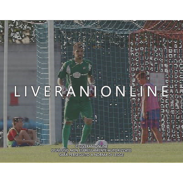 Bason Marco ,Coppa Italia Tim Lumezzane-Massese,4 agosto 2013.Ph Fotolive Simone Venezia AG ALDO LIVERANI SAS 
