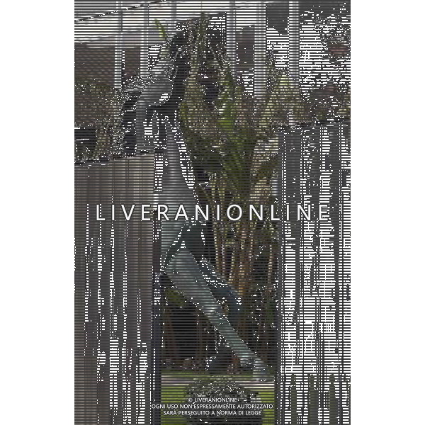 ROMA, 11-02-2003 ACCORDO RAI-FEDERAZIONE ITAL. GIOCO CALCIO SU DIRITTI TELEVISIVI PER LE PARTITE DELLA NAZIONALE. NELLA FOTO: IL CAVALLO DELLA SEDE RAI DI ROMA A VIALE MAZZINI FOTO ALDO LIVERANI