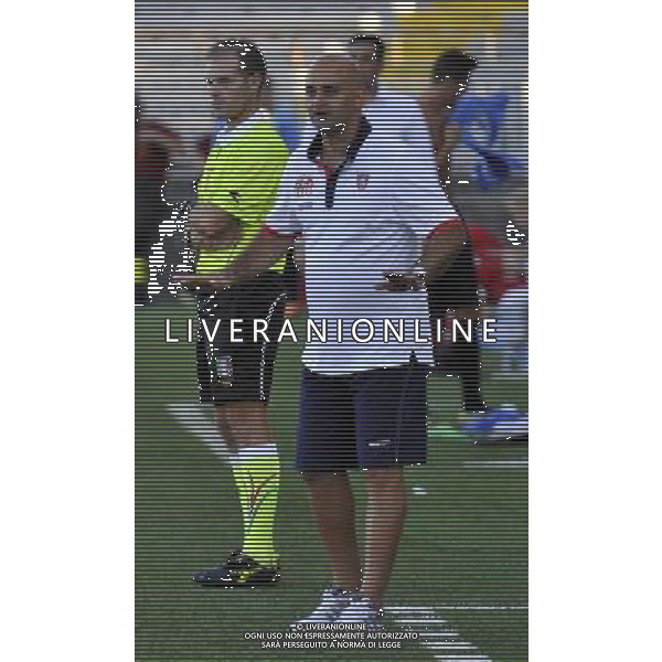 NOVARA 11/8/2013 STADIO \'SILVIO PIOLA\' TIM CUP SECONDO TURNO NOVARA vs GROSSETO NELLA FOTO FRANCESCO STATUTO FOTO ROMANO/AG ALDO LIVERANI S.A.S.