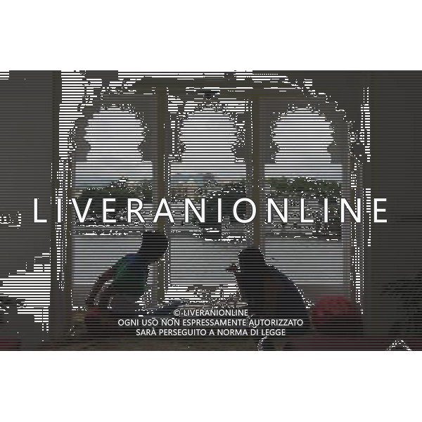 (130811) -- RAJASTHAN, Aug. 11, 2013 () -- Tourists have meal at a restaurant along lake in Udaipur, India\'s Rajasthan, Aug. 11, 2013. Located in the south of India\'s Rajasthan, Udaipur was built by Udai Singh in 16th century along the Pichola Lake. Nowadays, many of the ancient palaces have been converted into luxury hotels. Being rich in lakes, Udaipur is often called the \'Venice of the East\'. Every year, its ancient buildings, arts and craft works attract many visitors from the world. (/Zheng Huansong) ©photoshot/AGENZIA ALDO LIVERANI SAS - ITALY ONLY - Vedute della citta indiana di Udaipur, nel Rajasthan nel sud dell\'India costruita nel 16mo secolo lungo il lago Pichola. Antichi palazzi sono stati trasformati in alberghi di lusso e\' chiamata la \'Venezia d\'Oriente\' e attira molti turisti da tutto il mondo