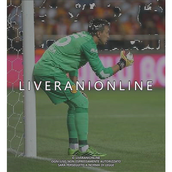 Turkish supercup match between Fenerbahce and Galatasaray at Kadir Has Stadium in Kayseri on August 11, 2013. Match Scored: Fenerbahce 0 - Galatasaray 1 Pictured: Goalkeeper Fernando Muslera of Galatasaray. TURCJA SUPER PUCHAR LIGA TURECKA PILKA NOZNA SEZON 2013/2014 FOT.SESKIM PHOTO/NEWSPIX.PL TURKEY, GERMANY, AUSTRIA AND UK OUT !!! --- Newspix.pl AG ALDO LIVERANI SAS ONLY ITALY *** Local Caption *** www.newspix.pl mail us: info@newspix.pl call us: 0048 022 23 22 222 --- Polish Picture Agency by Ringier Axel Springer Poland