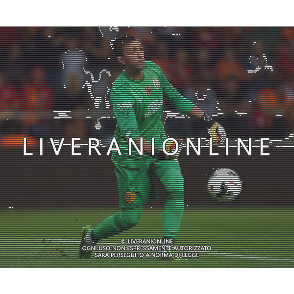 Turkish supercup match between Fenerbahce and Galatasaray at Kadir Has Stadium in Kayseri on August 11, 2013. Match Scored: Fenerbahce 0 - Galatasaray 1 Pictured: Goalkeeper Fernando Muslera of Galatasaray. TURCJA SUPER PUCHAR LIGA TURECKA PILKA NOZNA SEZON 2013/2014 FOT.SESKIM PHOTO/NEWSPIX.PL TURKEY, GERMANY, AUSTRIA AND UK OUT !!! --- Newspix.pl AG ALDO LIVERANI SAS ONLY ITALY *** Local Caption *** www.newspix.pl mail us: info@newspix.pl call us: 0048 022 23 22 222 --- Polish Picture Agency by Ringier Axel Springer Poland