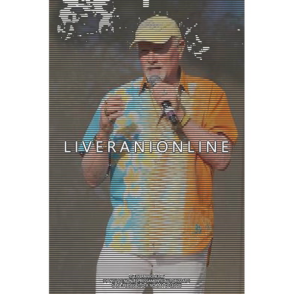 The Beach Boys at The British Summer Time gig at Hyde Park, London, England, UK on 7th July 2013 AG ALDO LIVERANI SAS ONLY ITALY