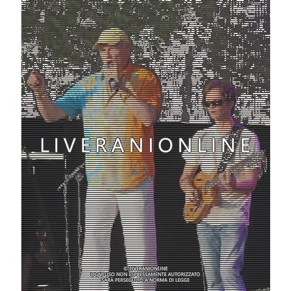 The Beach Boys at The British Summer Time gig at Hyde Park, London, England, UK on 7th July 2013 AG ALDO LIVERANI SAS ONLY ITALY