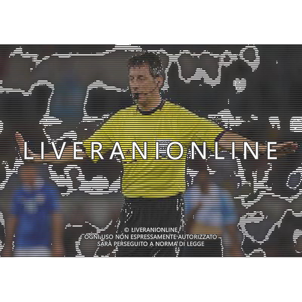 Amichevole FIFA Roma - 14.08.2013 Italia-Argentina Nella Foto:stark wolfgang /Ph.Vitez-Ag. Aldo Liverani